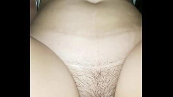 Petargas Com Xnxx N
