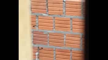 Peliculas Xxx Xnxx Ideos