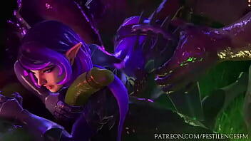 Paladins